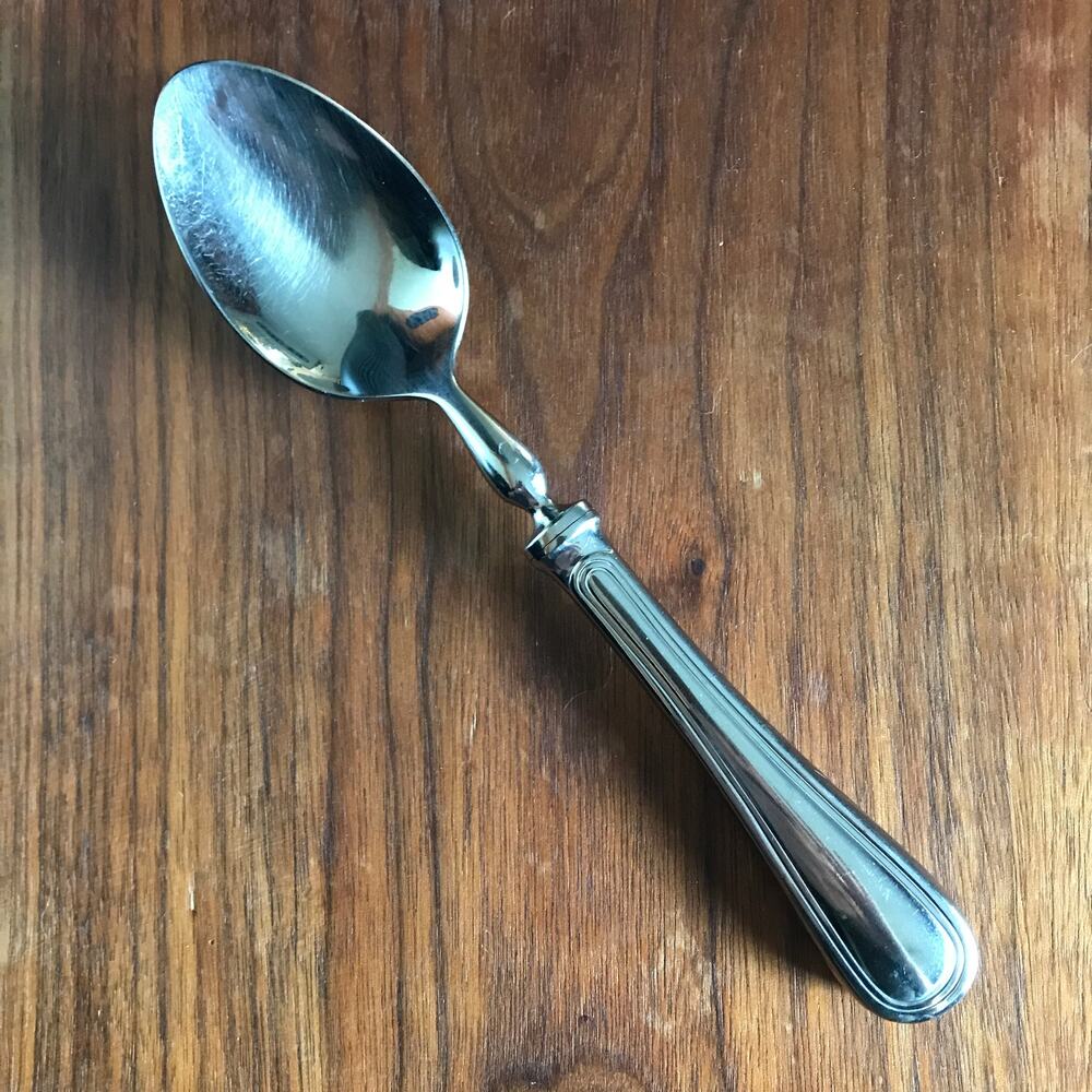 Williams Sonoma WSF15 Stainless France Glossy Silverware Single Oval Place Spoon
